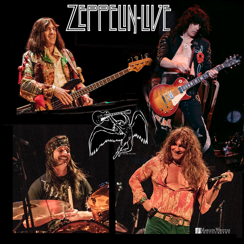 Zeppelin Live 408-483-5838